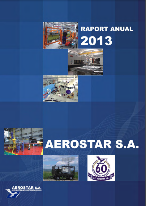 Raport Anual 2013